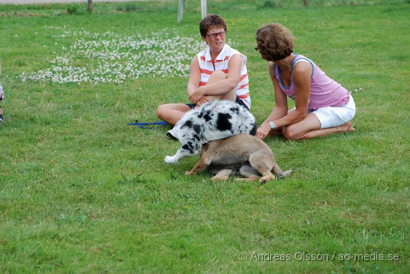 DSC_0197.JPG - Intensiv kurs, valp på Axtorps Hundskola!