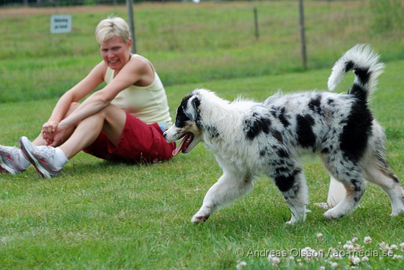 DSC_0209.JPG - Intensiv kurs, valp på Axtorps Hundskola!