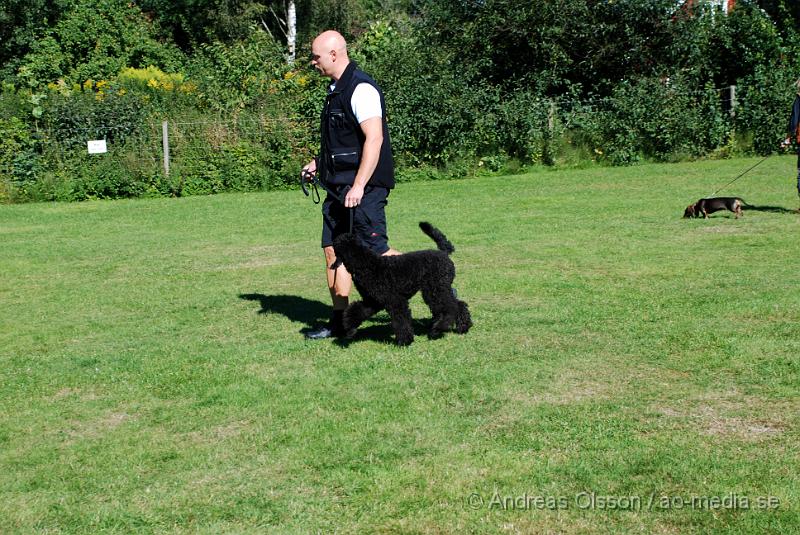 DSC_1532.JPG - 2010-09-04 Axtorps hundskola - Unghunds kurs