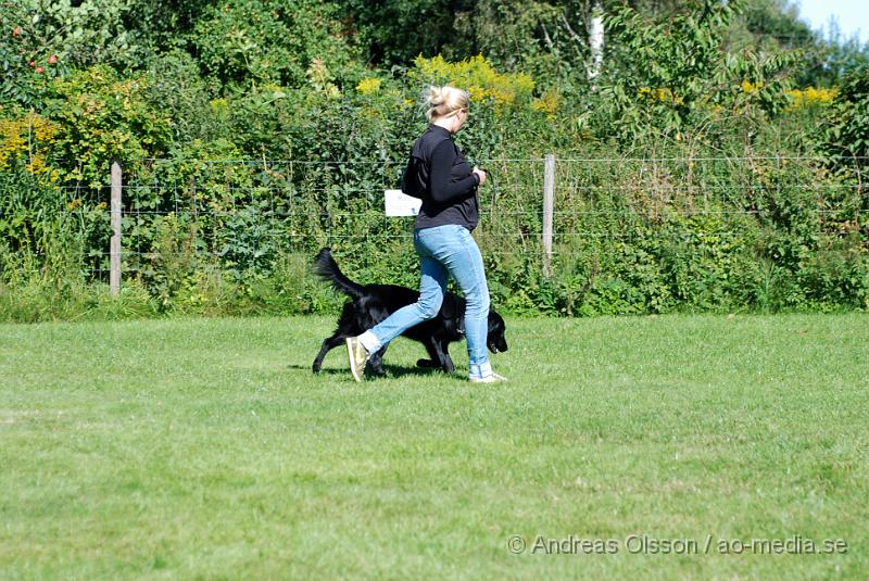 DSC_1535.JPG - 2010-09-04 Axtorps hundskola - Unghunds kurs