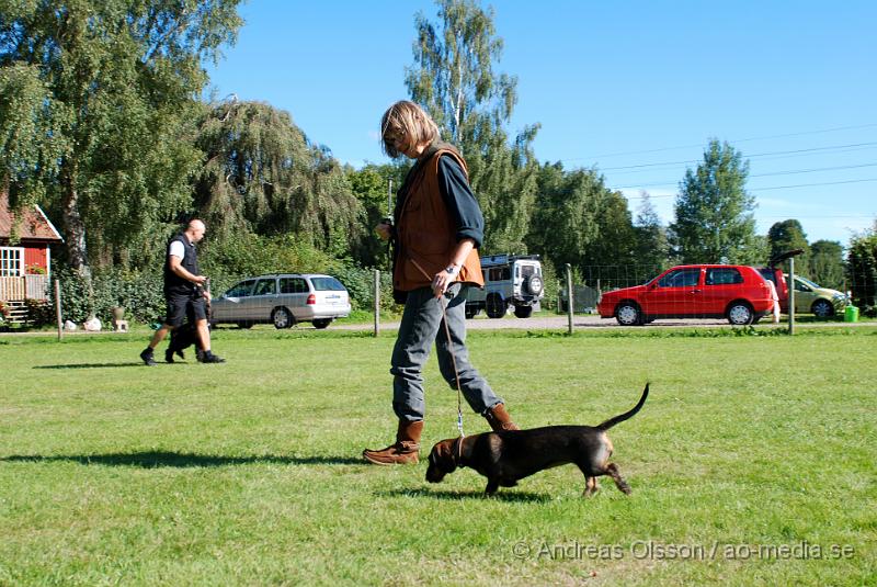 DSC_1537.JPG - 2010-09-04 Axtorps hundskola - Unghunds kurs