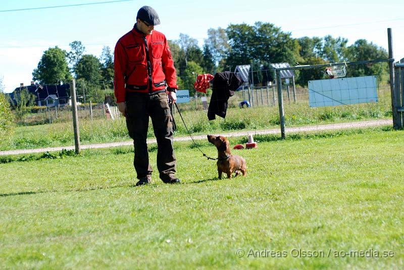 DSC_1539.JPG - 2010-09-04 Axtorps hundskola - Unghunds kurs