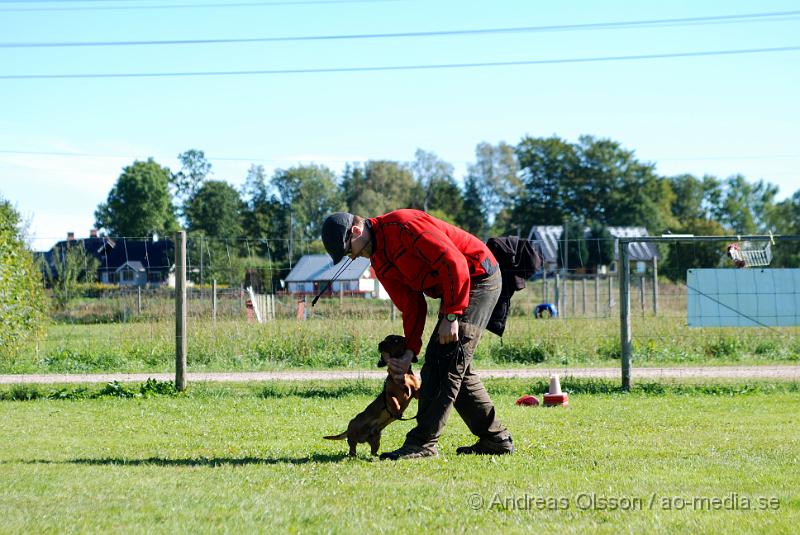 DSC_1540.JPG - 2010-09-04 Axtorps hundskola - Unghunds kurs