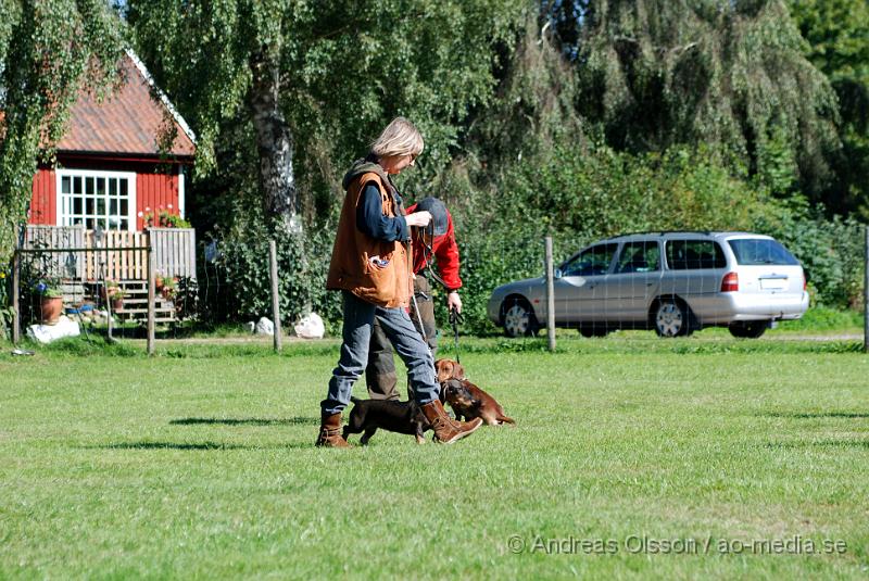 DSC_1544.JPG - 2010-09-04 Axtorps hundskola - Unghunds kurs