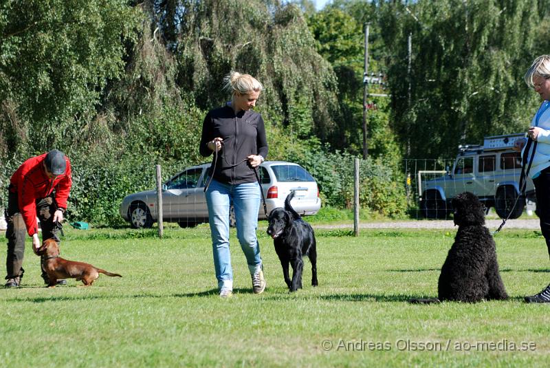 DSC_1545.JPG - 2010-09-04 Axtorps hundskola - Unghunds kurs