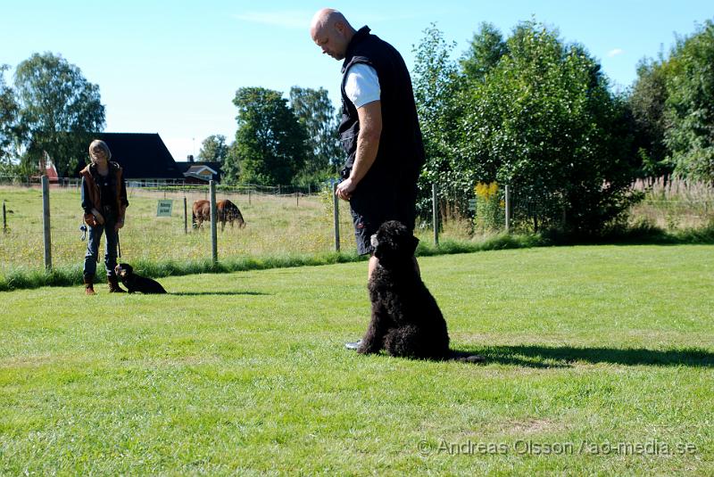 DSC_1557.JPG - 2010-09-04 Axtorps hundskola - Unghunds kurs