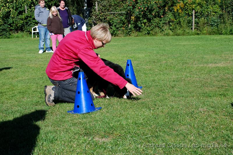 DSC_1462.JPG - 2010-09-04 Axtorps hundskola - Valpkurs