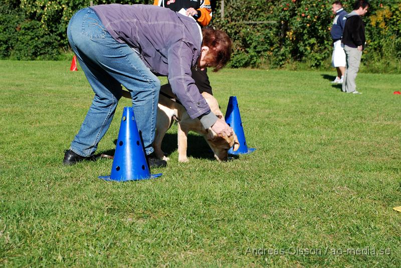 DSC_1468.JPG - 2010-09-04 Axtorps hundskola - Valpkurs