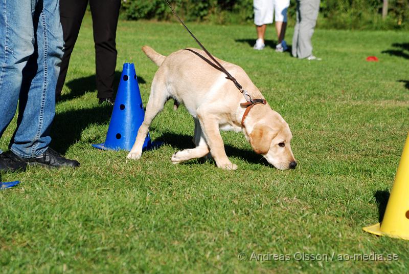 DSC_1469.JPG - 2010-09-04 Axtorps hundskola - Valpkurs