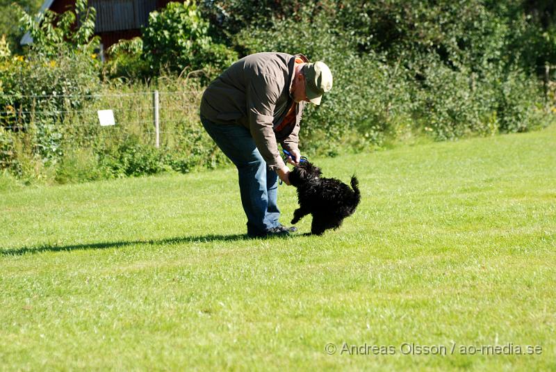 DSC_1490.JPG - 2010-09-04 Axtorps hundskola - Valpkurs