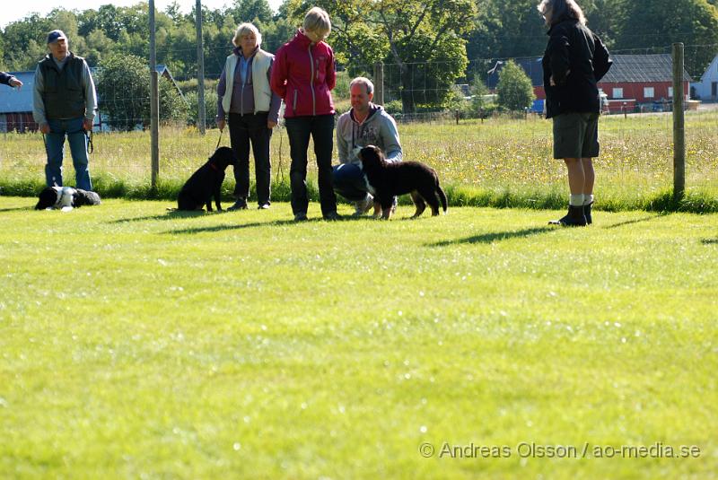 DSC_1491.JPG - 2010-09-04 Axtorps hundskola - Valpkurs