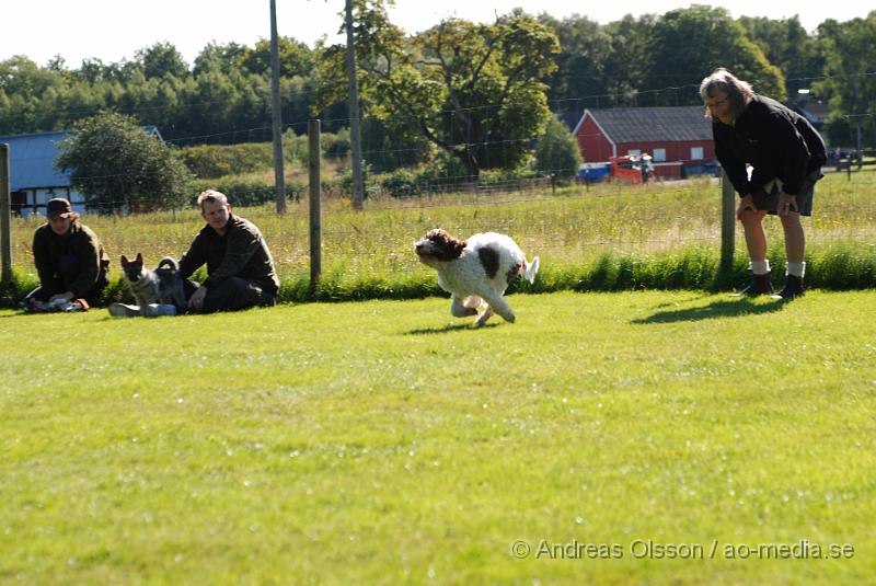 DSC_1510.JPG - 2010-09-04 Axtorps hundskola - Valpkurs