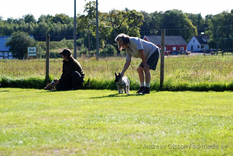 DSC_1514.JPG - 2010-09-04 Axtorps hundskola - Valpkurs