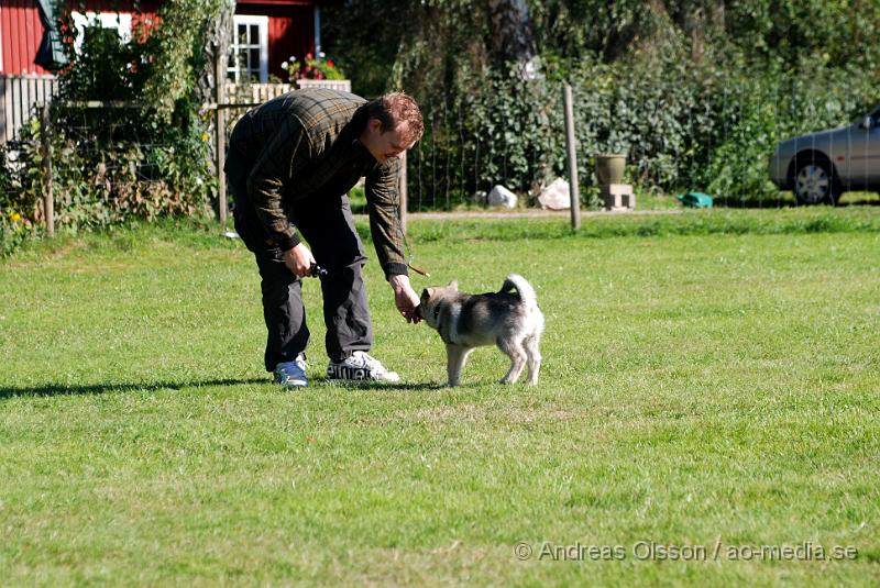 DSC_1521.JPG - 2010-09-04 Axtorps hundskola - Valpkurs