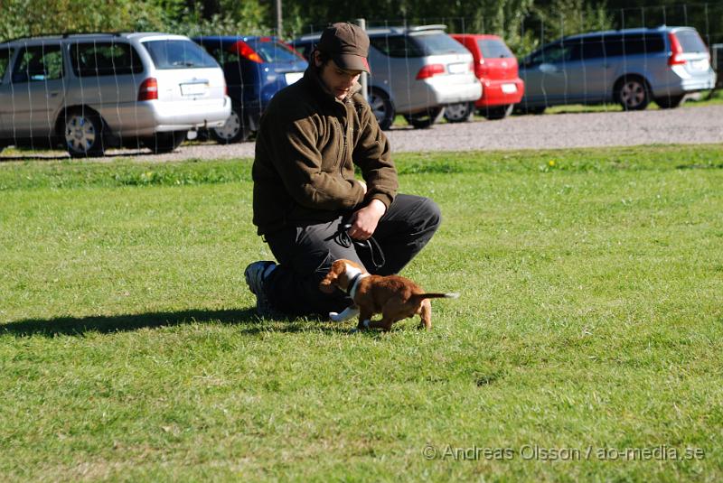 DSC_1526.JPG - 2010-09-04 Axtorps hundskola - Valpkurs