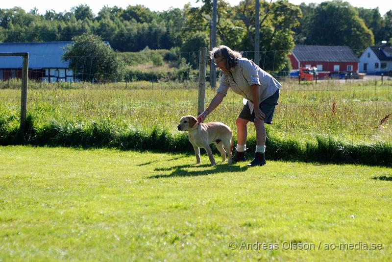 DSC_1527.JPG - 2010-09-04 Axtorps hundskola - Valpkurs