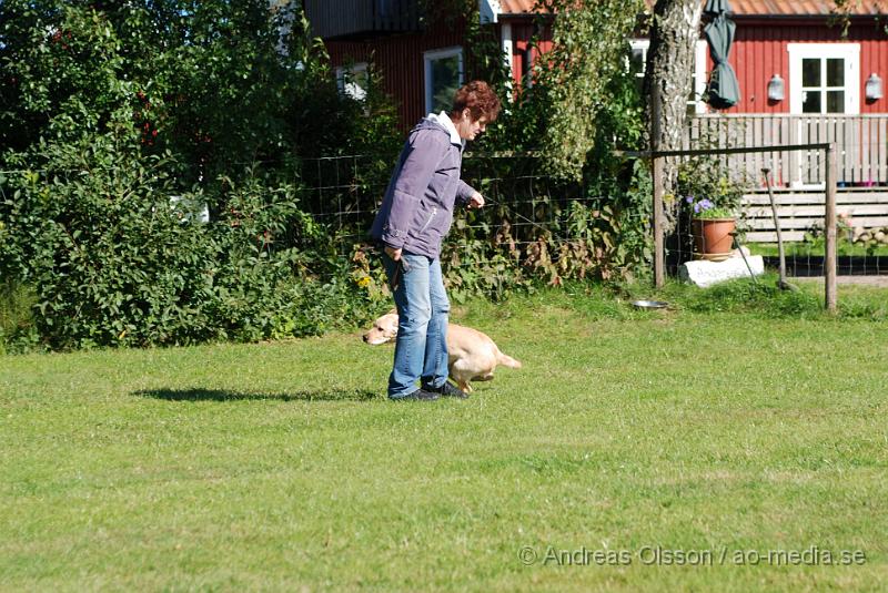 DSC_1531.JPG - 2010-09-04 Axtorps hundskola - Valpkurs