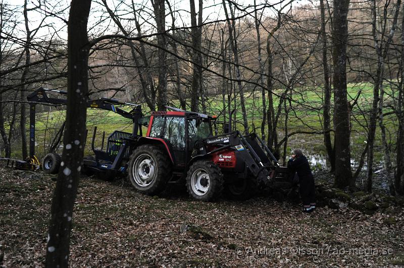 _DSC6508.JPG - Vid 20 tiden larmades räddningstjänsten i Ljungbyhed till en gård utanför Riseberga där en ko gått ner sig i en lerig hage. Hur länge kon suttit fast är oklart men den var helt utmattad. Efter ca 2 timmars hårt arbete lyckades man få upp kon på tor mark, där den får ligga under natten för att hämta krafter.