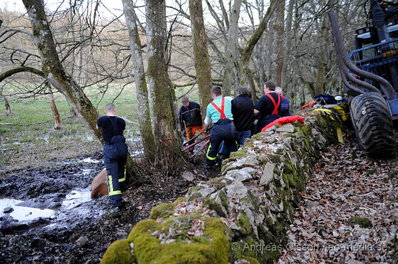 _DSC6513.JPG - Vid 20 tiden larmades räddningstjänsten i Ljungbyhed till en gård utanför Riseberga där en ko gått ner sig i en lerig hage. Hur länge kon suttit fast är oklart men den var helt utmattad. Efter ca 2 timmars hårt arbete lyckades man få upp kon på tor mark, där den får ligga under natten för att hämta krafter.