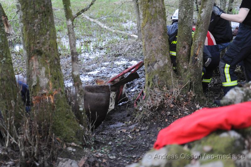 _DSC6517.JPG - Vid 20 tiden larmades räddningstjänsten i Ljungbyhed till en gård utanför Riseberga där en ko gått ner sig i en lerig hage. Hur länge kon suttit fast är oklart men den var helt utmattad. Efter ca 2 timmars hårt arbete lyckades man få upp kon på tor mark, där den får ligga under natten för att hämta krafter.