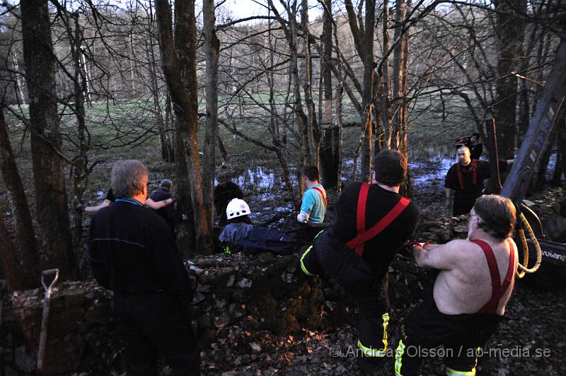 _DSC6538.JPG - Vid 20 tiden larmades räddningstjänsten i Ljungbyhed till en gård utanför Riseberga där en ko gått ner sig i en lerig hage. Hur länge kon suttit fast är oklart men den var helt utmattad. Efter ca 2 timmars hårt arbete lyckades man få upp kon på tor mark, där den får ligga under natten för att hämta krafter.