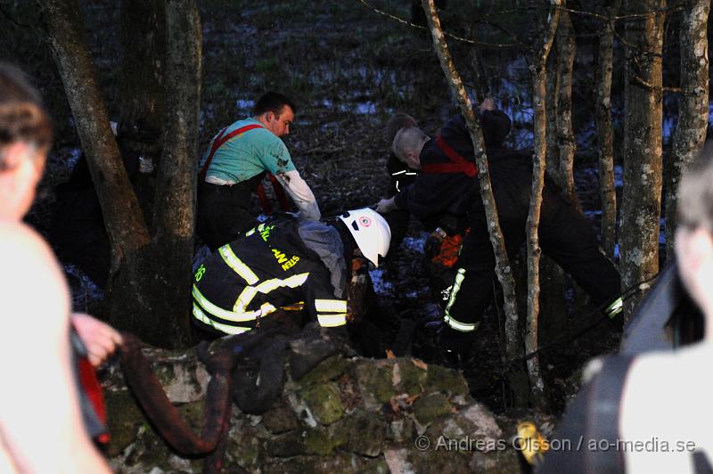 _DSC6540.JPG - Vid 20 tiden larmades räddningstjänsten i Ljungbyhed till en gård utanför Riseberga där en ko gått ner sig i en lerig hage. Hur länge kon suttit fast är oklart men den var helt utmattad. Efter ca 2 timmars hårt arbete lyckades man få upp kon på tor mark, där den får ligga under natten för att hämta krafter.