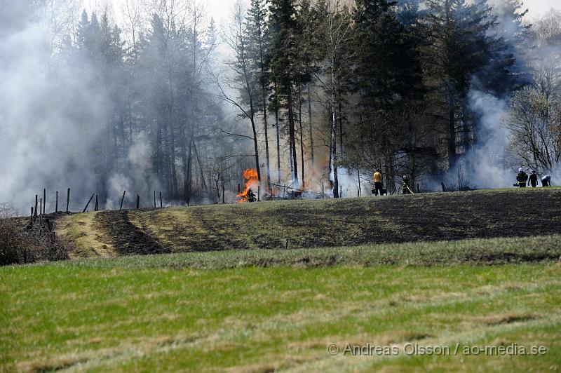 _DSC6643.JPG - Vid 14 tiden larmades räddningstjänsten från Klippan och Ljungbyhed till en gräsbrand/skogsbrand i Gyllsjö utanför Klippan. En person ska ha eldat ris vid ena kanten av åker när man tappade kontrollen över elden som snabbt spred sig över hela åkern, även en bit av skogen fattade eld innan räddningstjänsten fick kontroll över branden. Ingen person ska ha skadats. Men man bör INTE elda ute nu när det är så torrt i marken.