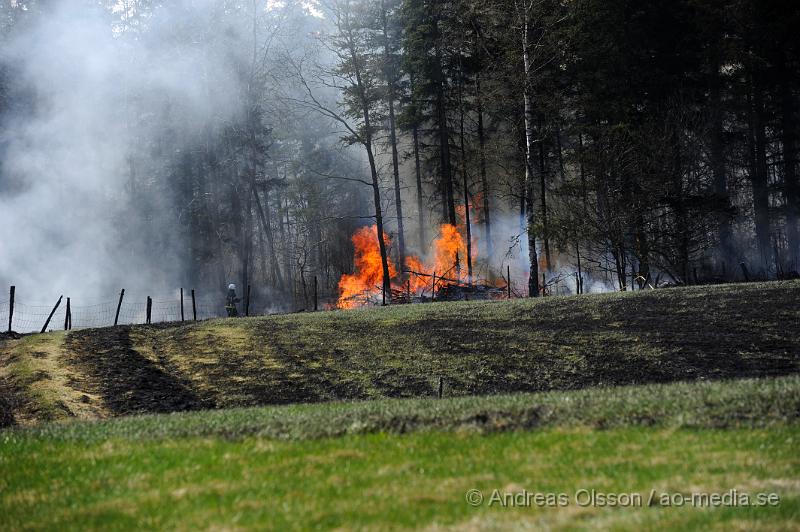 _DSC6645.JPG - Vid 14 tiden larmades räddningstjänsten från Klippan och Ljungbyhed till en gräsbrand/skogsbrand i Gyllsjö utanför Klippan. En person ska ha eldat ris vid ena kanten av åker när man tappade kontrollen över elden som snabbt spred sig över hela åkern, även en bit av skogen fattade eld innan räddningstjänsten fick kontroll över branden. Ingen person ska ha skadats. Men man bör INTE elda ute nu när det är så torrt i marken.