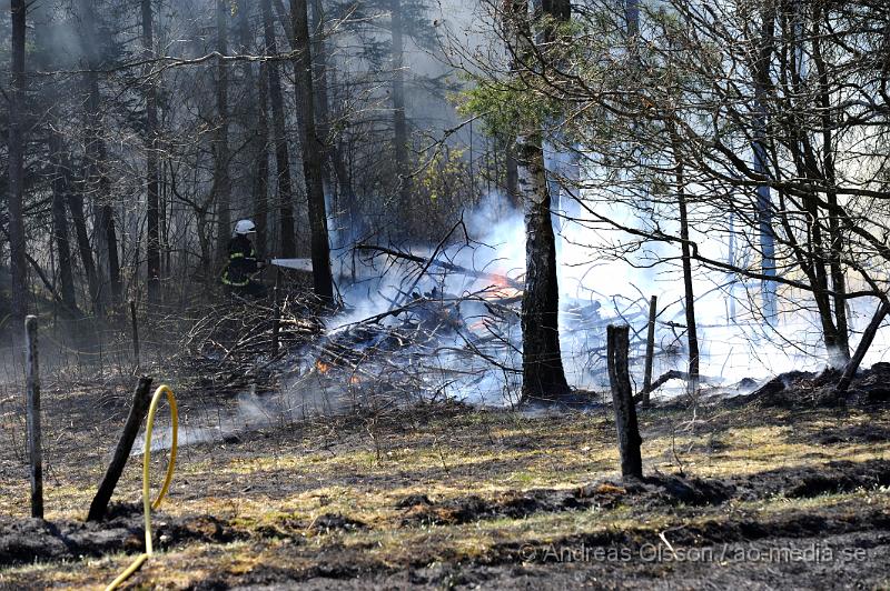 _DSC6652.JPG - Vid 14 tiden larmades räddningstjänsten från Klippan och Ljungbyhed till en gräsbrand/skogsbrand i Gyllsjö utanför Klippan. En person ska ha eldat ris vid ena kanten av åker när man tappade kontrollen över elden som snabbt spred sig över hela åkern, även en bit av skogen fattade eld innan räddningstjänsten fick kontroll över branden. Ingen person ska ha skadats. Men man bör INTE elda ute nu när det är så torrt i marken.