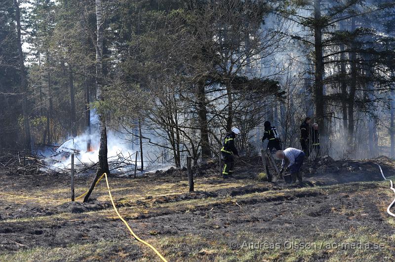 _DSC6656.JPG - Vid 14 tiden larmades räddningstjänsten från Klippan och Ljungbyhed till en gräsbrand/skogsbrand i Gyllsjö utanför Klippan. En person ska ha eldat ris vid ena kanten av åker när man tappade kontrollen över elden som snabbt spred sig över hela åkern, även en bit av skogen fattade eld innan räddningstjänsten fick kontroll över branden. Ingen person ska ha skadats. Men man bör INTE elda ute nu när det är så torrt i marken.