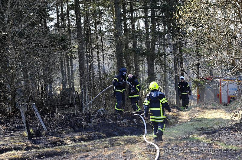 _DSC6659.JPG - Vid 14 tiden larmades räddningstjänsten från Klippan och Ljungbyhed till en gräsbrand/skogsbrand i Gyllsjö utanför Klippan. En person ska ha eldat ris vid ena kanten av åker när man tappade kontrollen över elden som snabbt spred sig över hela åkern, även en bit av skogen fattade eld innan räddningstjänsten fick kontroll över branden. Ingen person ska ha skadats. Men man bör INTE elda ute nu när det är så torrt i marken.