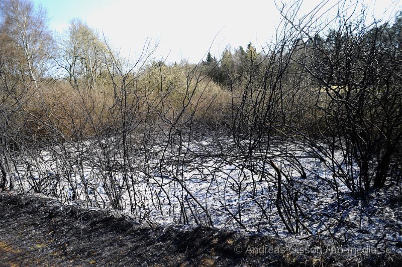 _DSC6674.JPG - Vid 14 tiden larmades räddningstjänsten från Klippan och Ljungbyhed till en gräsbrand/skogsbrand i Gyllsjö utanför Klippan. En person ska ha eldat ris vid ena kanten av åker när man tappade kontrollen över elden som snabbt spred sig över hela åkern, även en bit av skogen fattade eld innan räddningstjänsten fick kontroll över branden. Ingen person ska ha skadats. Men man bör INTE elda ute nu när det är så torrt i marken.