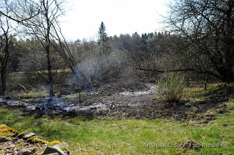 _DSC6677.JPG - Vid 14 tiden larmades räddningstjänsten från Klippan och Ljungbyhed till en gräsbrand/skogsbrand i Gyllsjö utanför Klippan. En person ska ha eldat ris vid ena kanten av åker när man tappade kontrollen över elden som snabbt spred sig över hela åkern, även en bit av skogen fattade eld innan räddningstjänsten fick kontroll över branden. Ingen person ska ha skadats. Men man bör INTE elda ute nu när det är så torrt i marken.